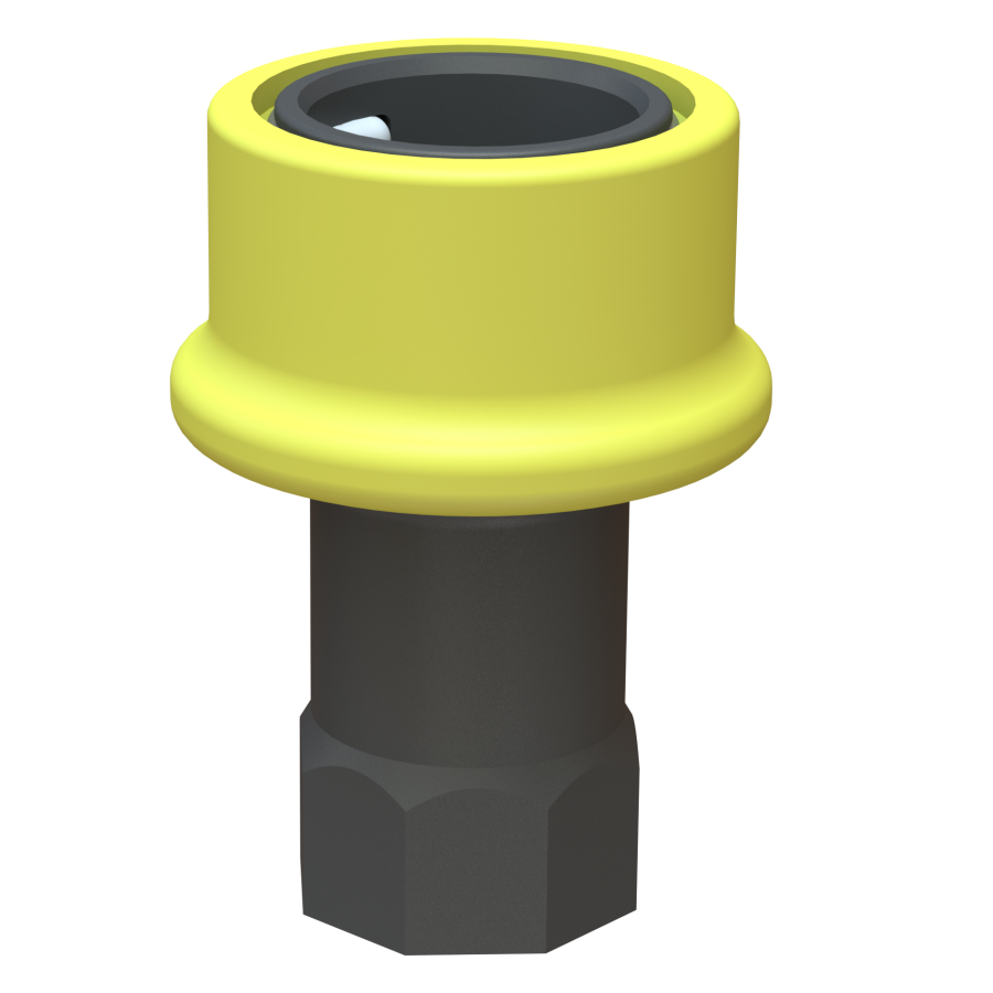 1'' Dry-Shut female valved coupler X 1'' BSP female G/P/P. C/W Viton seals