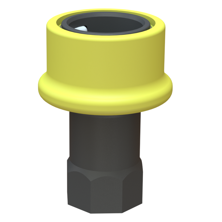 1'' Dry-Shut female valved coupler X 1'' BSP female G/P/P. C/W Viton seals